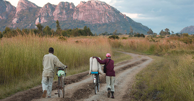 Dos hombres caminando junto a bicicletas con sus cultivos.